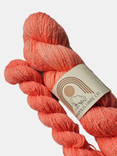ZINNIA: thoughts of absent friends - 100% North Country Cheviot