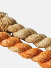 MARIGOLD: vulgar mind - 100% North Country Cheviot