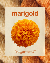 MARIGOLD: vulgar mind - 100% North Country Cheviot