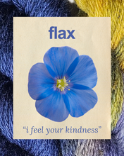 FLAX: i feel your kindness - 100% North Country Cheviot