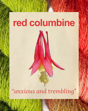 RED COLUMBINE: anxious and trembling - 100% North Country Cheviot