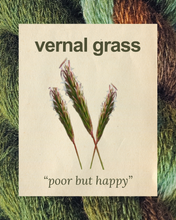 VERNAL GRASS: poor but happy - 100% North Country Cheviot