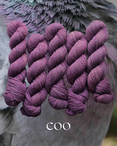 Coo (nostophile) - 100% Canadian Rambouillet