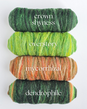 Phile ROVING BUMPS - 100% Canadian Rambouillet