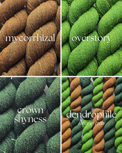 Phile MINI SKEIN SETS - 100% Canadian Rambouillet