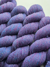 Nebula (astrophile) - 100% Canadian Rambouillet