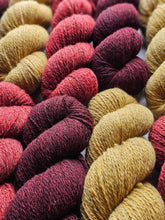 Mulled (oenophile) - 100% Canadian Rambouillet