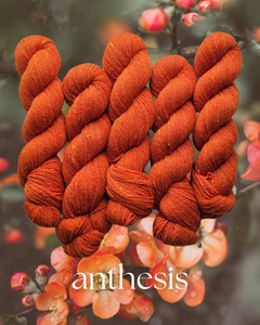 Anthesis (anthophile) - 100% Canadian Rambouillet