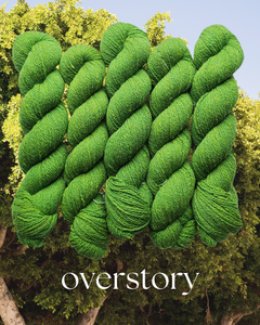 Overstory (dendrophile) - 100% Canadian Rambouillet
