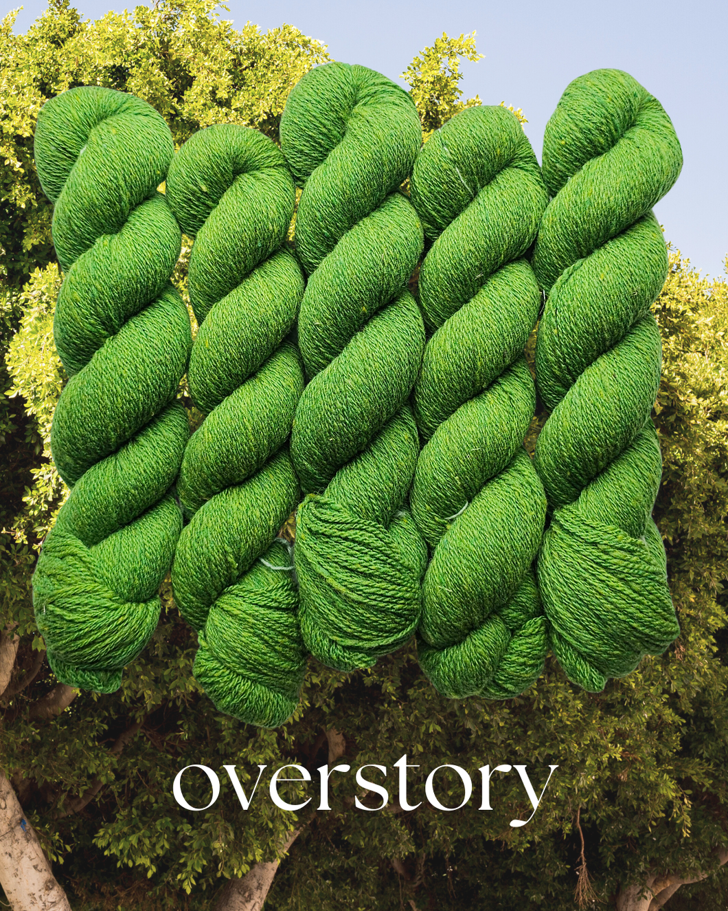 Overstory (dendrophile) - 100% Canadian Rambouillet
