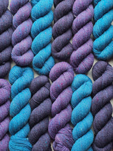 Lucida (astrophile) - 100% Canadian Rambouillet