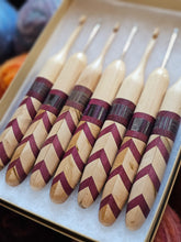 Nostophile (lover of pigeons) MYSTERY Crochet Hook