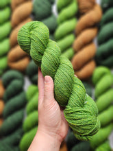 Overstory (dendrophile) - 100% Canadian Rambouillet