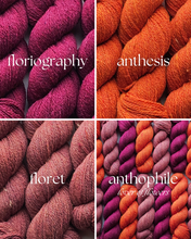 Phile MINI SKEIN SETS - 100% Canadian Rambouillet