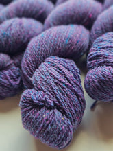 Nebula (astrophile) - 100% Canadian Rambouillet