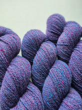 Nebula (astrophile) - 100% Canadian Rambouillet