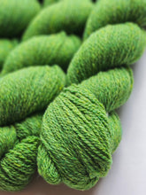 Overstory (dendrophile) - 100% Canadian Rambouillet