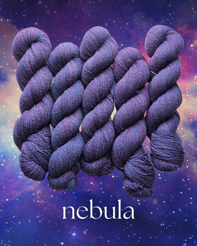 Nebula (astrophile) - 100% Canadian Rambouillet