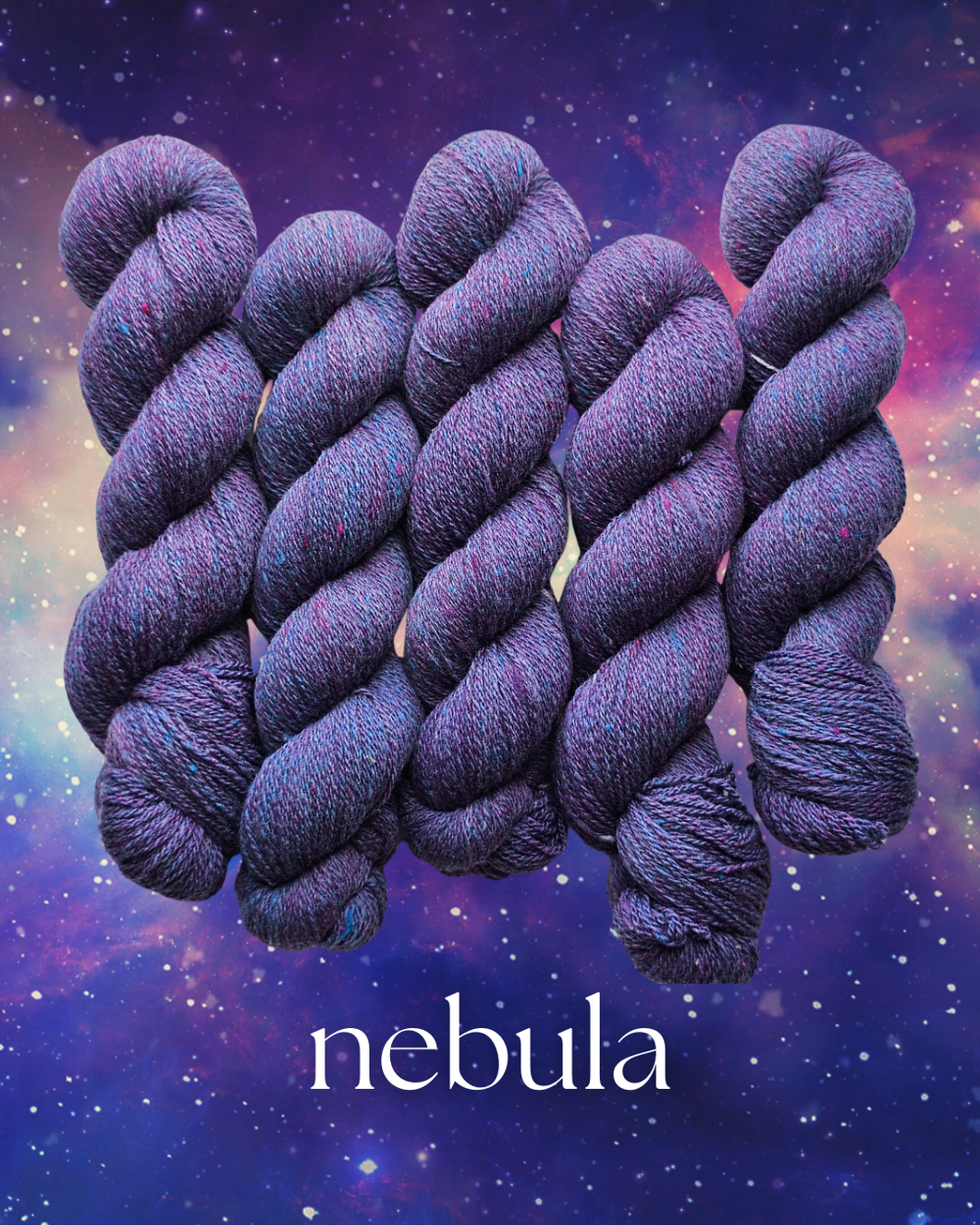 Nebula (astrophile) - 100% Canadian Rambouillet