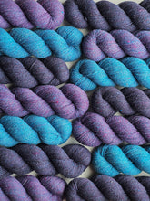 Lucida (astrophile) - 100% Canadian Rambouillet