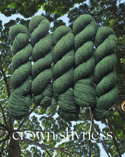 Crown Shyness (dendrophile) - 100% Canadian Rambouillet