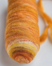 Phile ROVING BUMPS - 100% Canadian Rambouillet