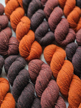 PSL (javaphile) - 100% Canadian Rambouillet