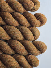 Mycorrhizal (dendrophile) - 100% Canadian Rambouillet