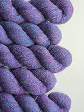 Nebula (astrophile) - 100% Canadian Rambouillet
