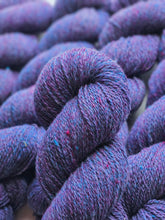 Nebula (astrophile) - 100% Canadian Rambouillet