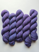 Nebula (astrophile) - 100% Canadian Rambouillet