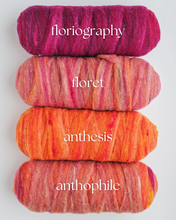 Phile ROVING BUMPS - 100% Canadian Rambouillet
