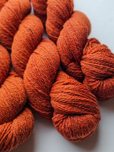 PSL (javaphile) - 100% Canadian Rambouillet