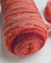 Phile ROVING BUMPS - 100% Canadian Rambouillet