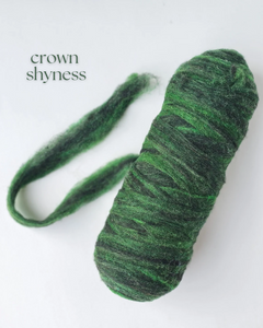 Phile ROVING BUMPS - 100% Canadian Rambouillet